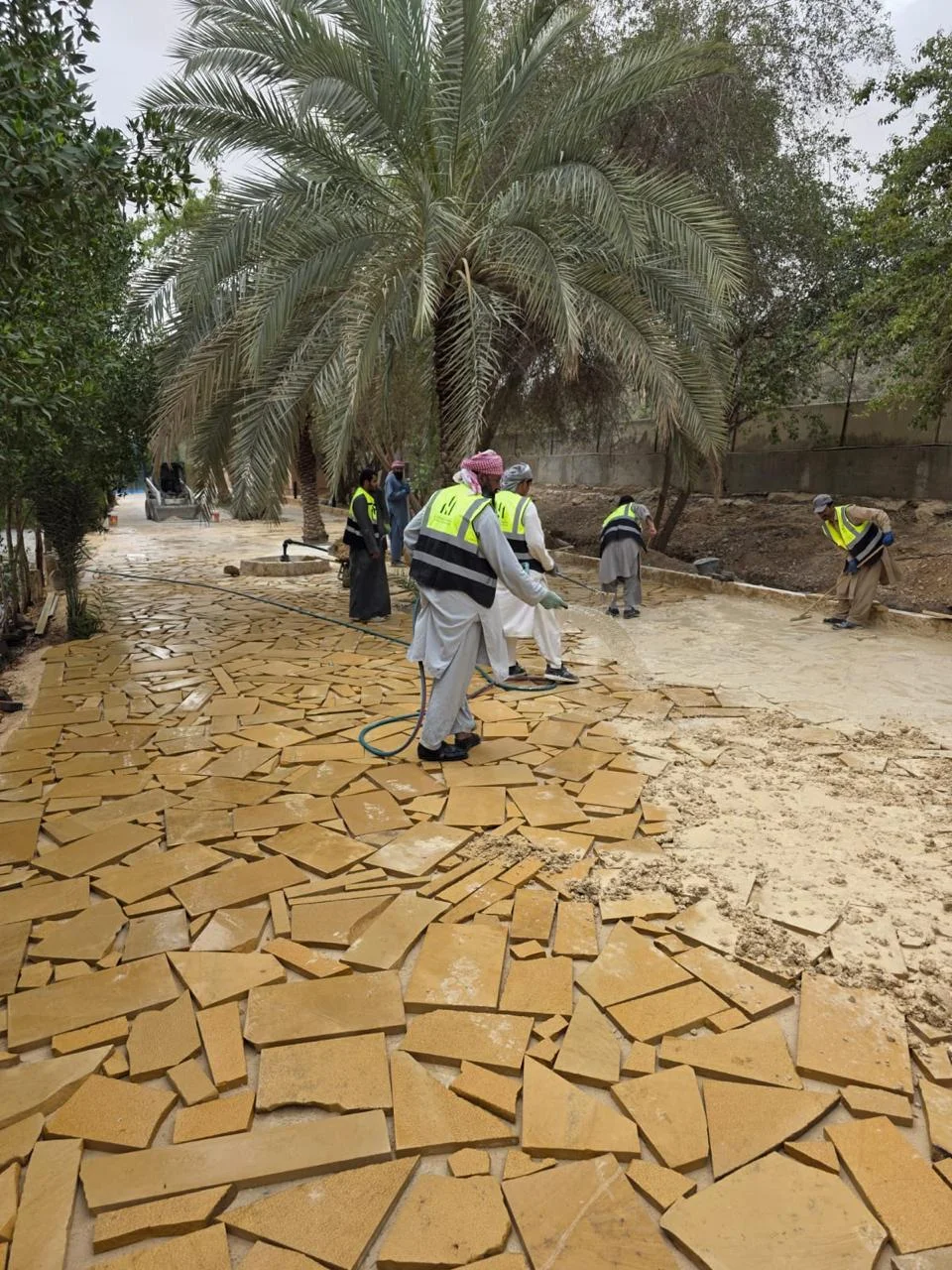 مزرعة عرقة
