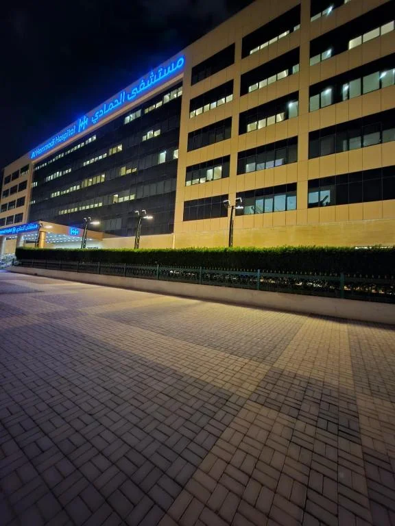 شقق فندقية Dosst Building